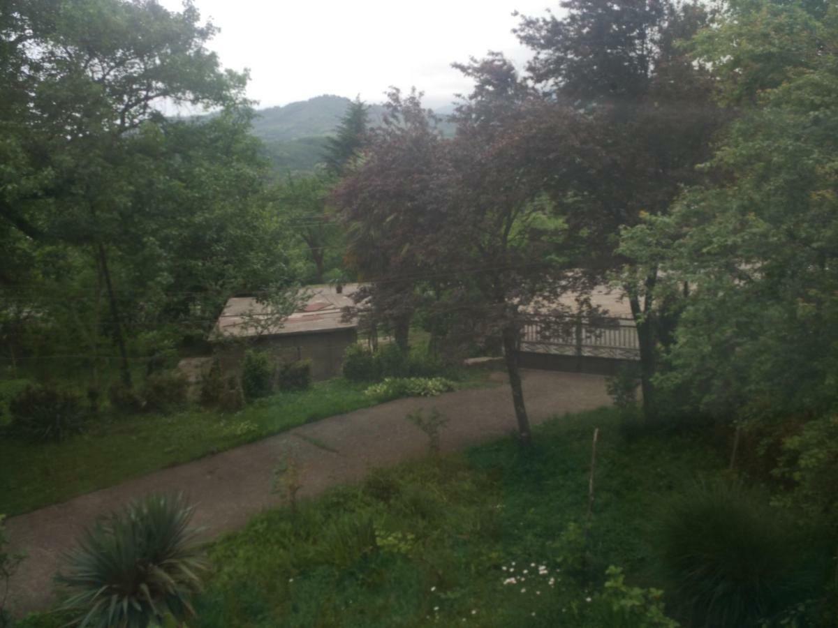 Guest House Knarik Jvari Zewnętrze zdjęcie